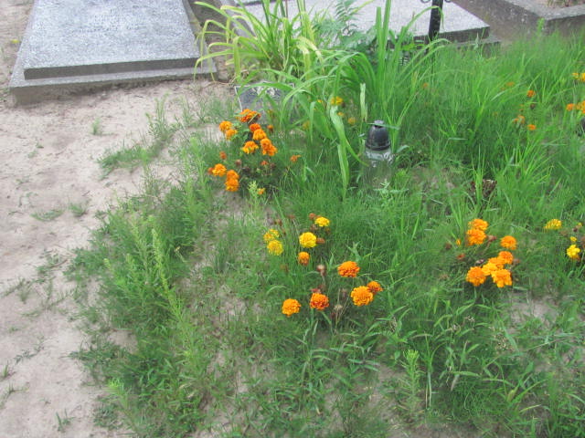 Grób Jadwiga Kaliszuk